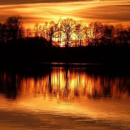 Ferienwohnung Am Duemmer See Dummer Exteriör bild