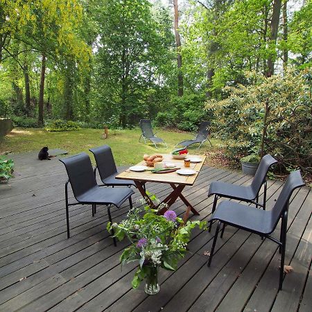 Ferienwohnung Am Duemmer See Dummer Exteriör bild