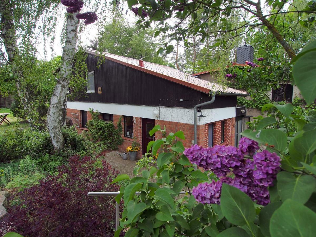 Ferienwohnung Am Duemmer See Dummer Exteriör bild