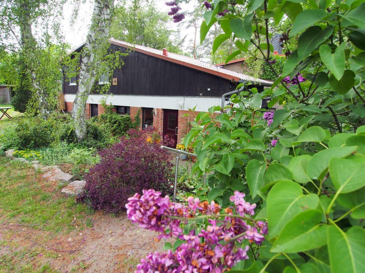 Ferienwohnung Am Duemmer See Dummer Exteriör bild