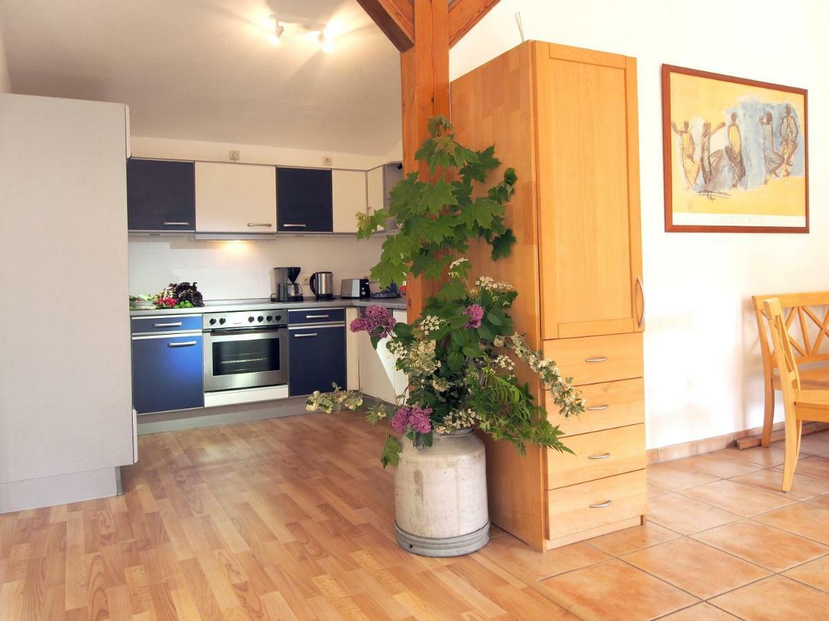 Ferienwohnung Am Duemmer See Dummer Exteriör bild