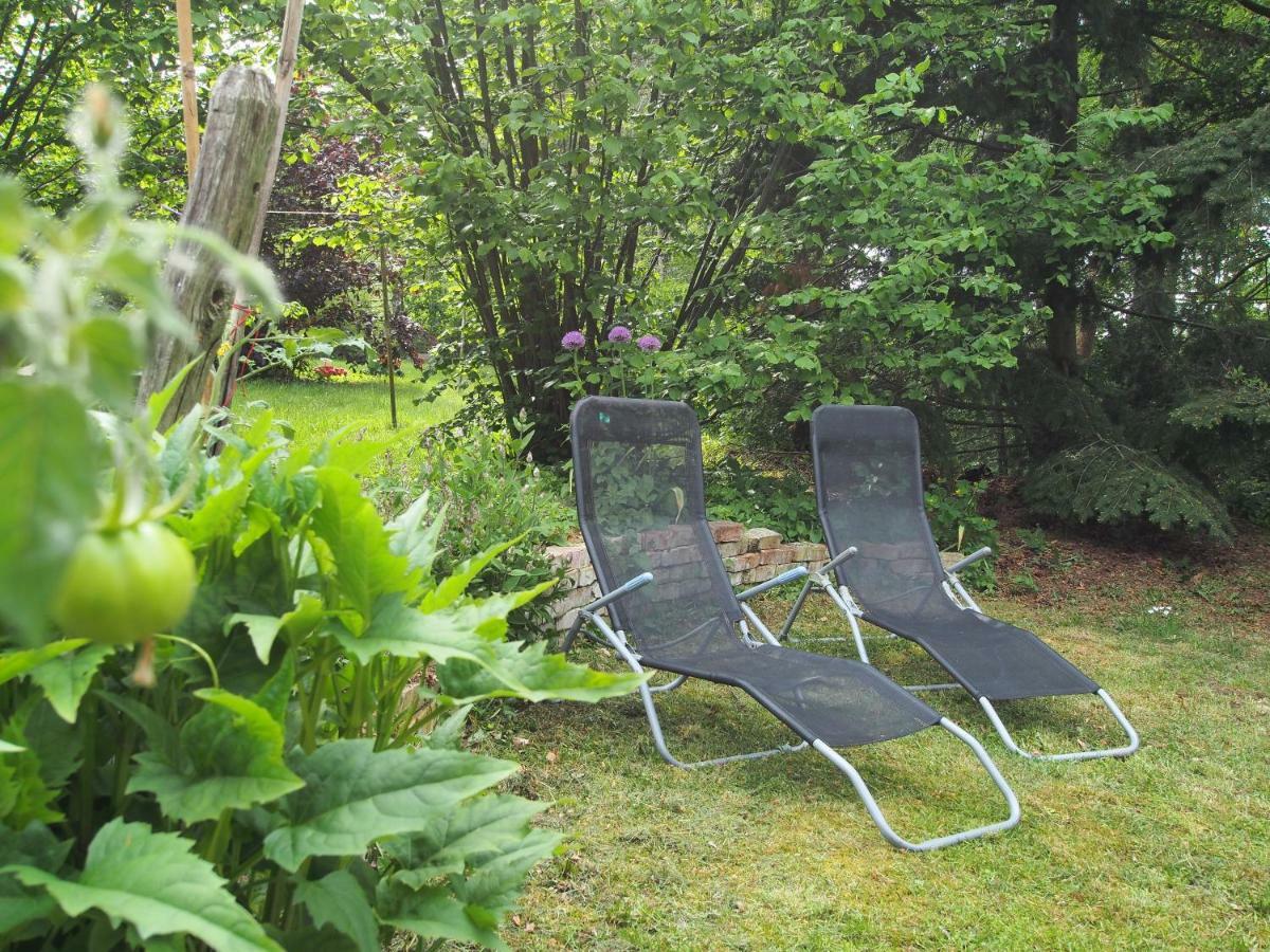 Ferienwohnung Am Duemmer See Dummer Exteriör bild