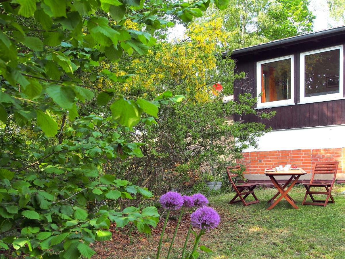 Ferienwohnung Am Duemmer See Dummer Exteriör bild