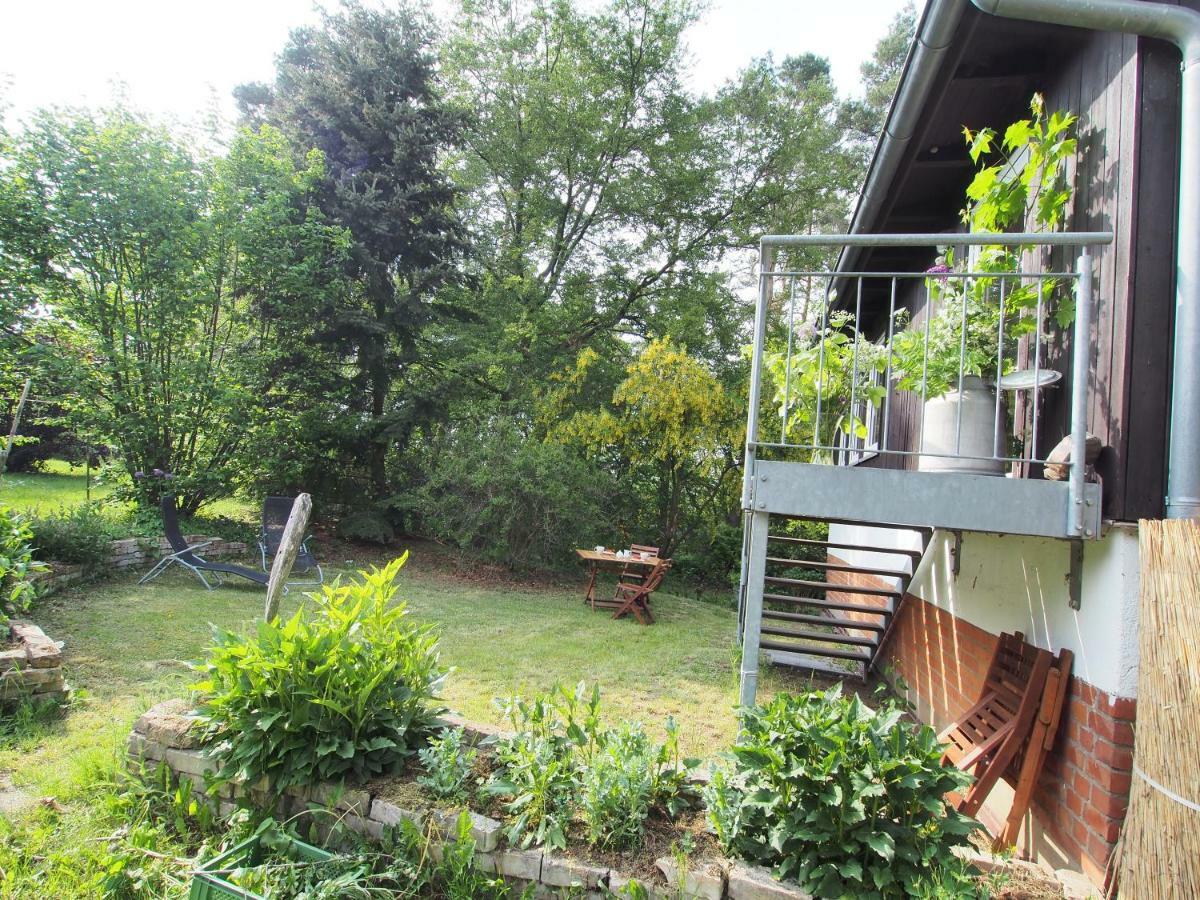 Ferienwohnung Am Duemmer See Dummer Exteriör bild